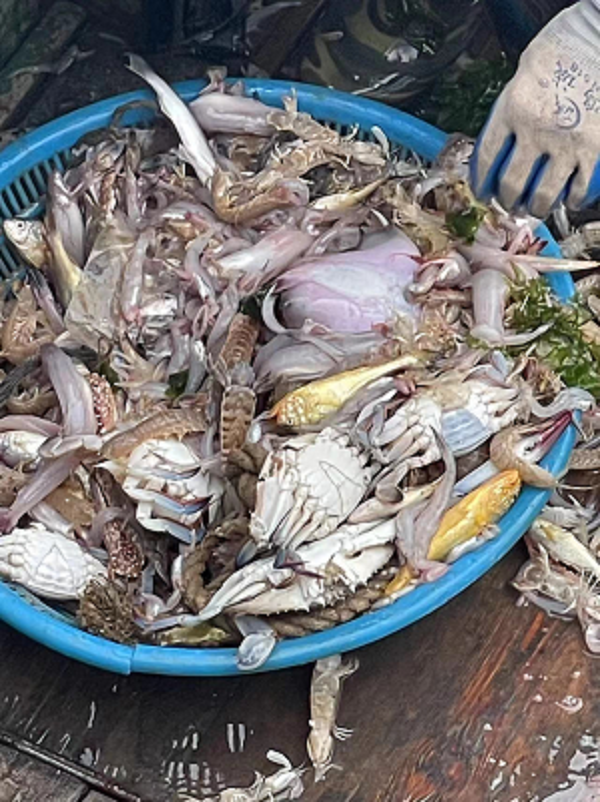 图片82.png 图片82.png