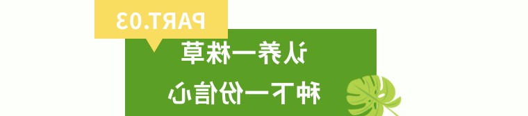 BG体育首页注册
