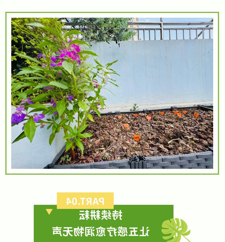 BG体育首页注册